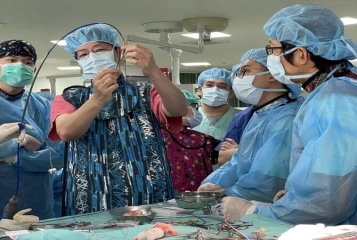 TAVI 年輕主治醫師動物模擬手術訓練營