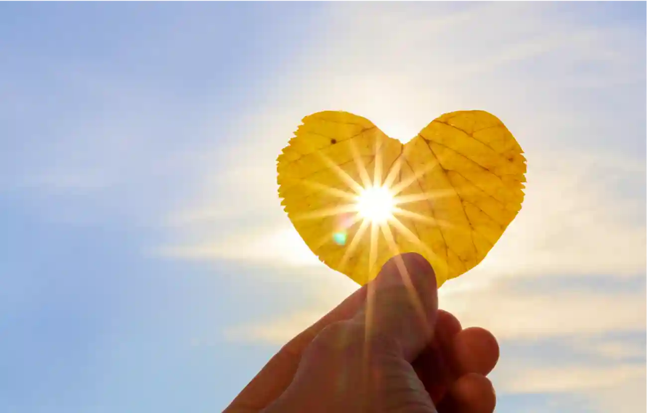 臺北市整合心臟醫學基金會