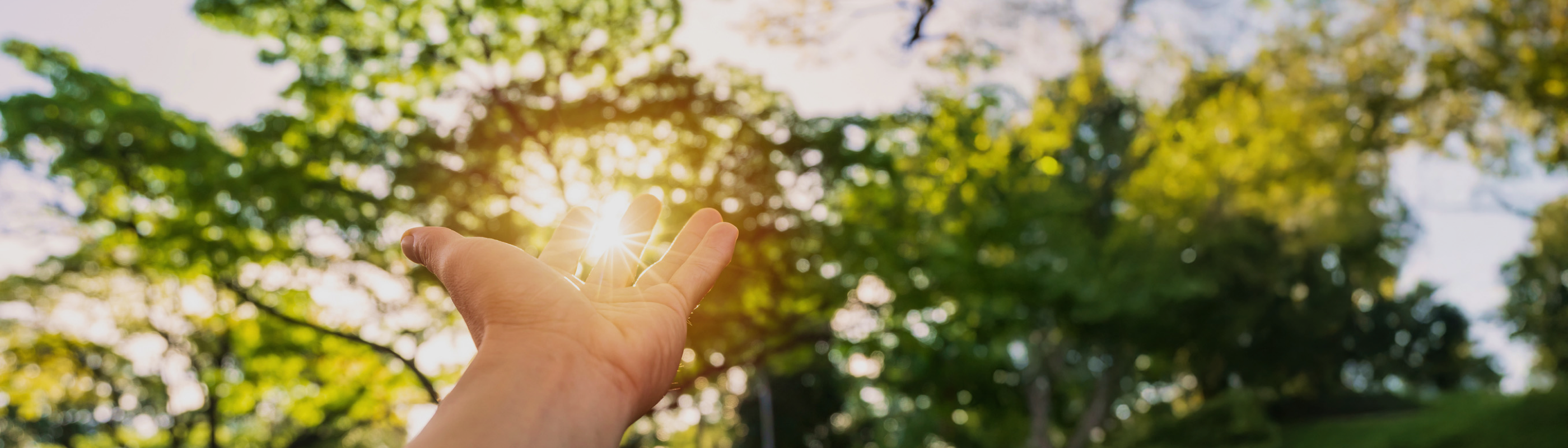 臺北市整合心臟醫學基金會